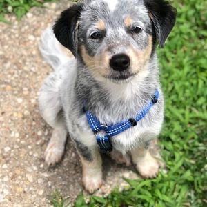 Meet your Posher, Catherine